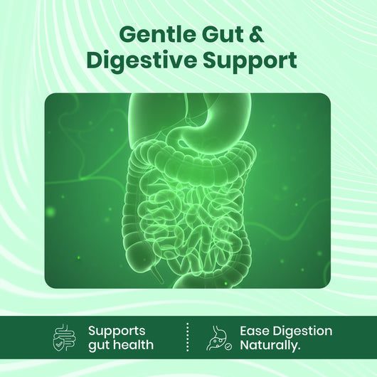 Soursop Natural Drops